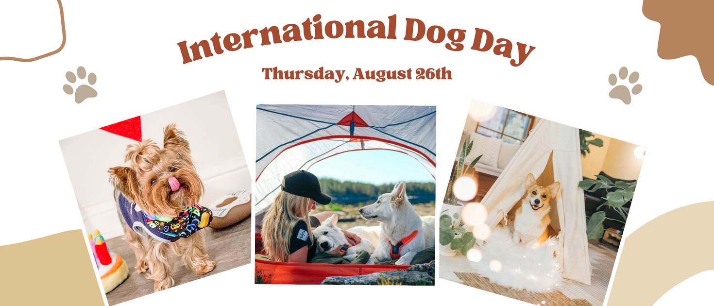 15 Fun Ways to Celebrate National Dog Day in 2021 | GearLit