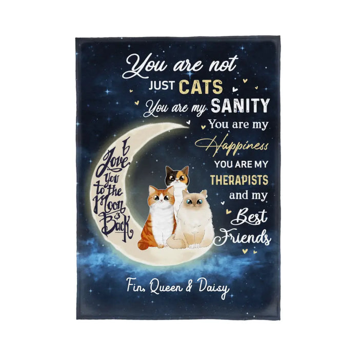 Personalized Blanket, You Are Not Just Cats, Gifts For Cat Lovers