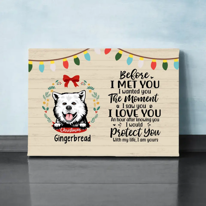 Personalized Canvas, Before I Met You, Christmas Theme, Christmas Gift For Dog Lovers