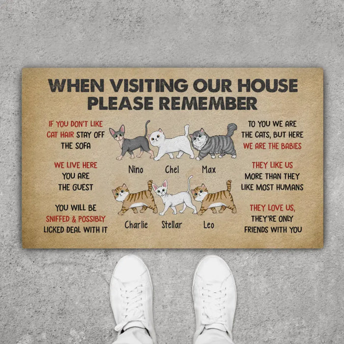 Please Remember When Visiting Cats House - Personalized Doormat For Cat Lovers, Funny Cat Doormats