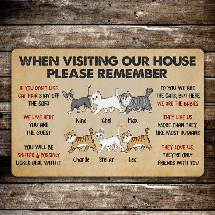 Please Remember When Visiting Cats House - Personalized Doormat For Cat Lovers, Funny Cat Doormats