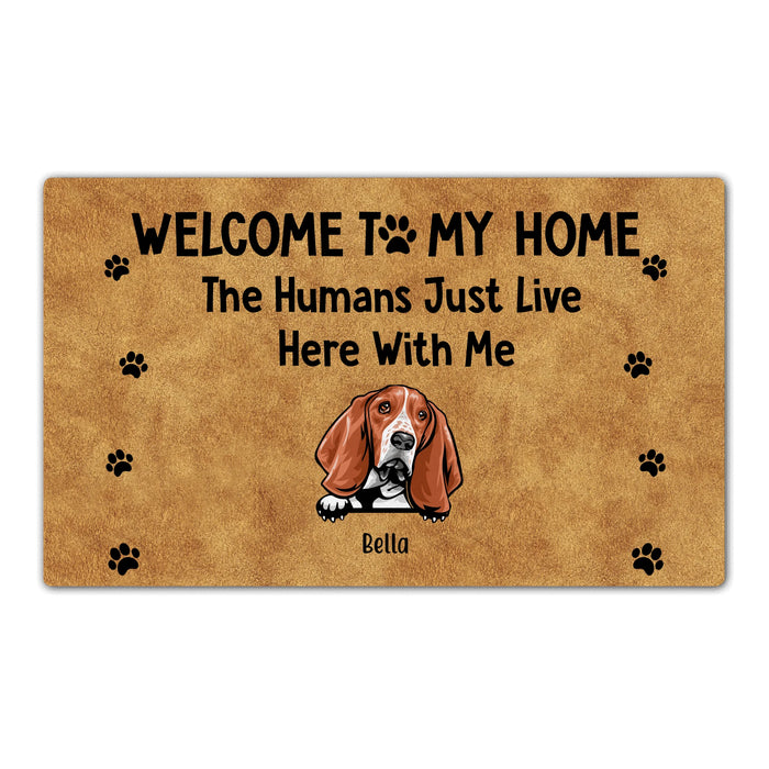 Personalized Doormat, Welcome To Our Home The Humans Just Live Here With Us, Up to 4 Dogs, Gifts for Dog Lovers