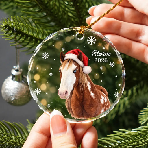 Pinto horse Christmas glass ornament-3