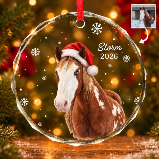 Pinto horse holiday glass ornament-5