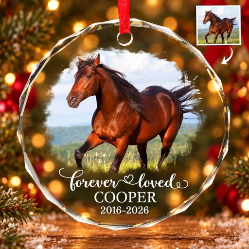 Bay Horse Memorial Glass Ornament