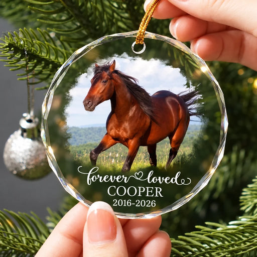 Forever Loved Bay Horse Ornament