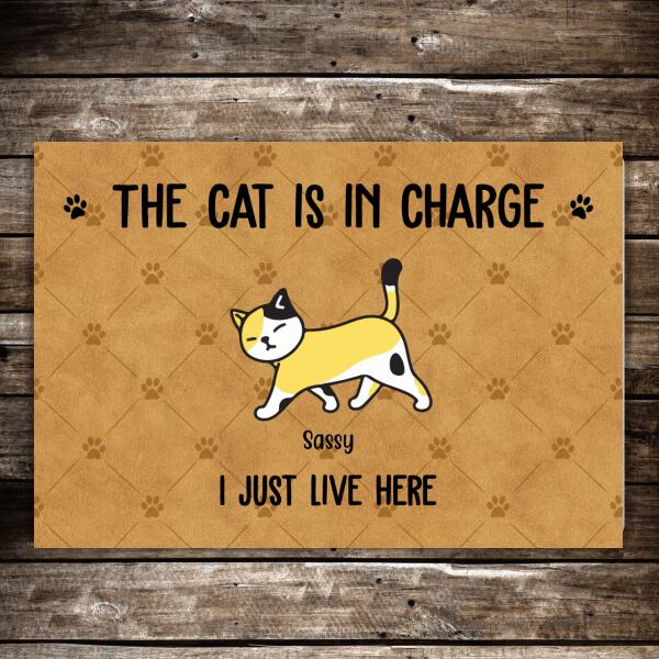 Personalized Doormat, The Cat Is In Charge We Just Live Here Up To 6 Cats, Custom Gift for Cats Lovers