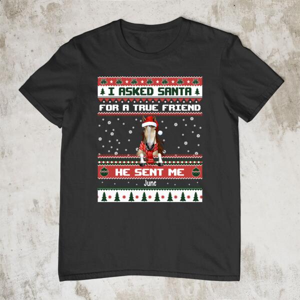Personalized Shirt, I Asked Santa For A True Friend He Sent Me My Horses, Christmas Gift For Horse Lovers