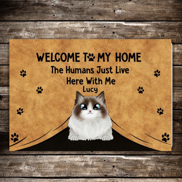 Tuxedo Cat Doormat, 3D Photo Cat Doormat, New Home Gift, Cat