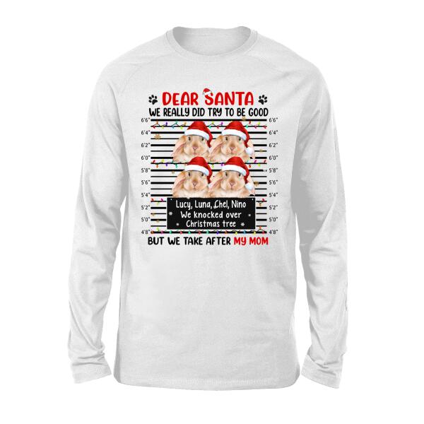 Personalized Shirt, Up To 4 Bunnies, Dear Santa We Really Did Try To Be Good, Christmas Gift For Bunny Lovers