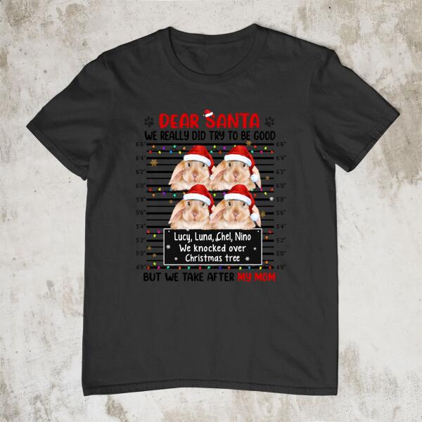 Personalized Shirt, Up To 4 Bunnies, Dear Santa We Really Did Try To Be Good, Christmas Gift For Bunny Lovers