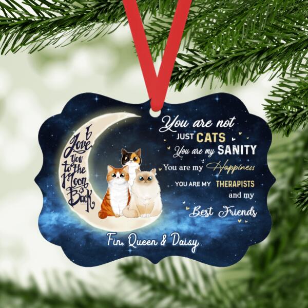 Personalized Ornament, Metal Ornament, You Are Not Just Cats, Gifts For Cat Lovers