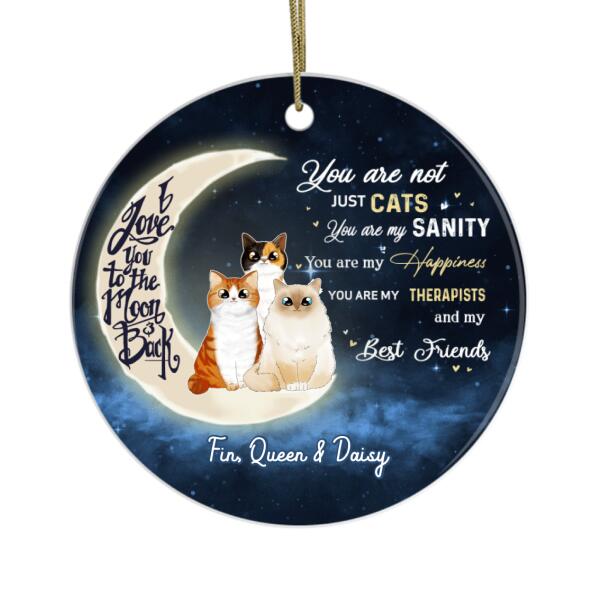 Personalized Ornament, Metal Ornament, You Are Not Just Cats, Gifts For Cat Lovers