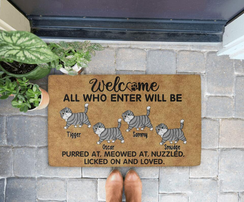 Welcome All Who Enter - Cat Personalized Gifts Custom Doormat For Family