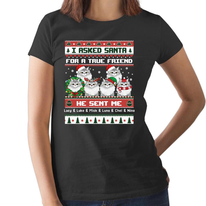 Personalized Shirt, I Asked Santa For A True Friend He Sent Me My Cats, Christmas Gift For Cat Lovers