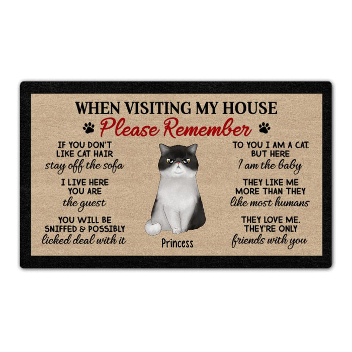When Visiting My House Please Remember Up To 4 Cats - Cat Lovers Personalized Gifts Custom Doormat For Family
