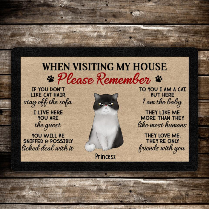 When Visiting My House Please Remember Up To 4 Cats - Cat Lovers Personalized Gifts Custom Doormat For Family