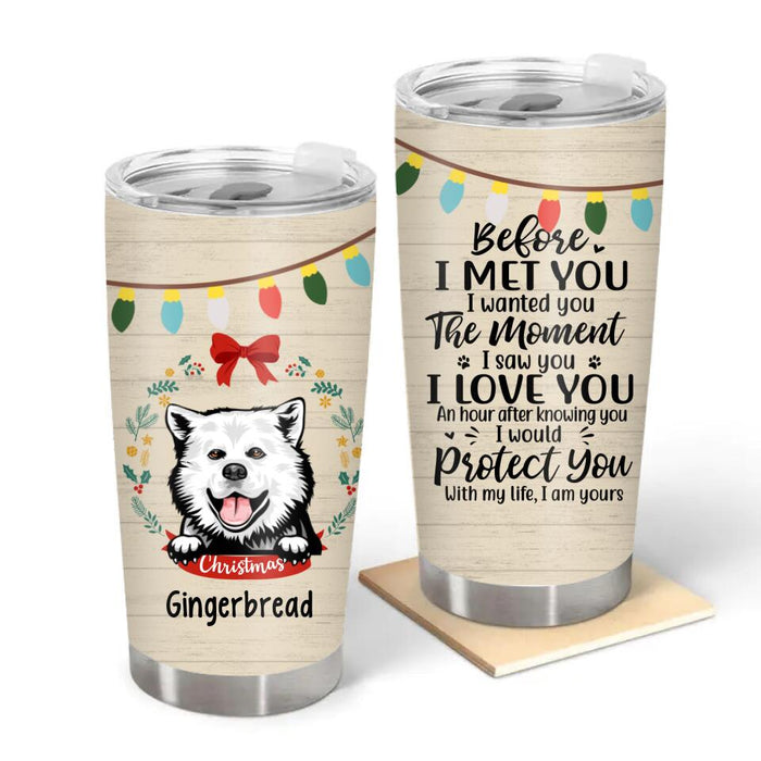 Personalized Tumbler 20oz, Before I Met You, Christmas Theme, Christmas Gift For Dog Lovers