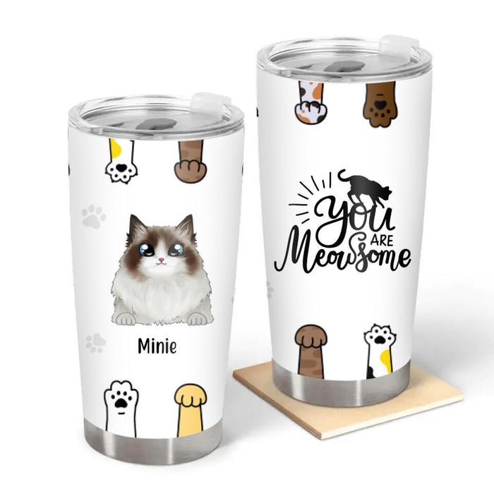 Woman And Cat Still Talk About You Personalized Cat Mom Tumbler