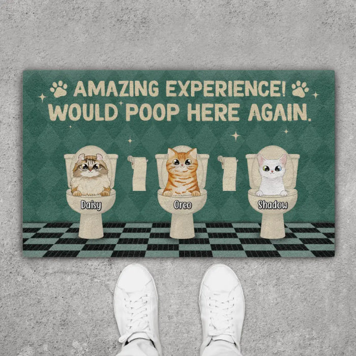 Amazing Experience Would Poop Here Again - Cat Personalized Gifts Custom Doormat for Family