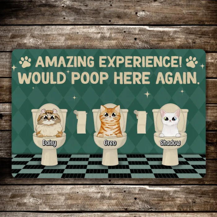 Amazing Experience Would Poop Here Again - Cat Personalized Gifts Custom Doormat for Family